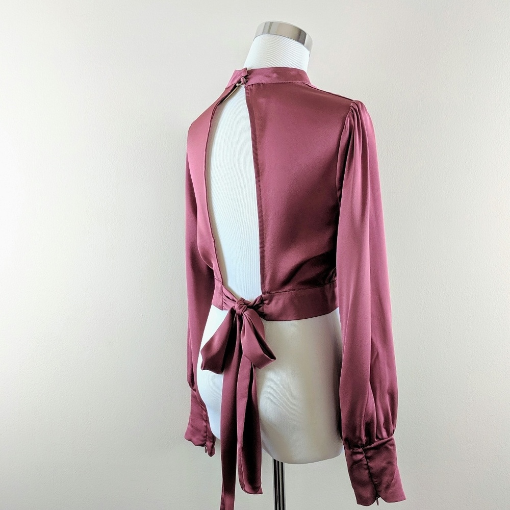 Sexy Satin Look Rose Crop with Deep V Open Back - Picture 3 of 3